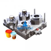 IML container mould